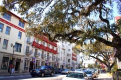 St_augustine9